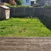 Photo 9: Shared Garden