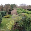 Photo 3: front garden