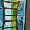 Photo 8: conservatory