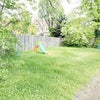Photo 8: Garden