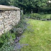 Photo 2: Garden