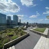 Photo 3: Rooftop View