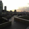 Photo 8: Rooftop at dusk