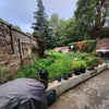 Photo 7: Garden
