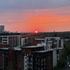 Photo 7: View