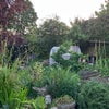 Photo 8: back garden