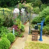 Photo 6: Shared Garden