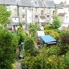Photo 7: Shared Garden