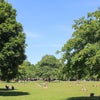 Photo 10: Star Lane park next to the house
