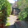 Photo 3: Garden