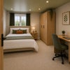 Photo 2: New Ensuite Rooms | Natural & Modern ✨