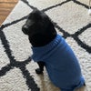 Photo 3: Aya in the jumper she never wore again