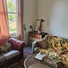 Photo 6: Living room