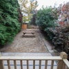 Photo 8: garden