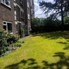 Photo 7: Shared garden- its a sun trap 🌞👙📕