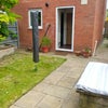 Photo 8: Garden