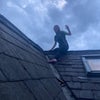 Photo 6: Climbed on a roof :}