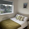 Photo 4: Doible Room newly redecorated 