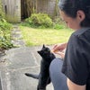 Photo 7: Patio and Garden visiting cat