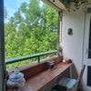 Photo 3: Small terrace 