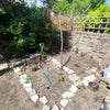 Photo 9: If you are into gardening we have a little food patch started