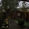 Photo 7: Garden
