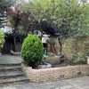 Photo 6: Garden