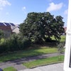 Photo 9: View from your bedroom