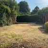 Photo 8: Garden