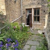 Photo 5: Garden