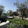 Photo 6: Rooftop