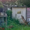 Photo 7: Lush garden