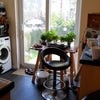 Photo 5: Kitchen view of garden