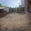 Photo 2: Garden