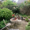 Photo 8: Garden 