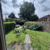 Photo 8: garden