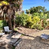 Photo 6: Garden