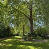 Photo 4: Communal garden