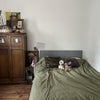 Photo 5: bedroom