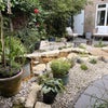 Photo 7: Garden