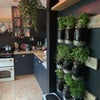 Photo 4: Kitchen