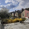 Photo 7: Roof