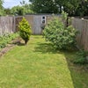Photo 4: Garden
