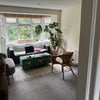 Photo 6: The living room
