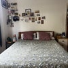 Photo 2: Queen bed