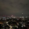 Photo 3: Skyline Vue
