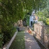 Photo 8: Garden