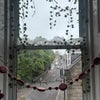 Photo 5: View from kitchen