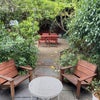 Photo 8: Garden looking out from the kitchen