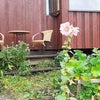 Photo 8: Outside patio